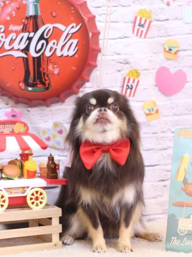 20230928フェルくん